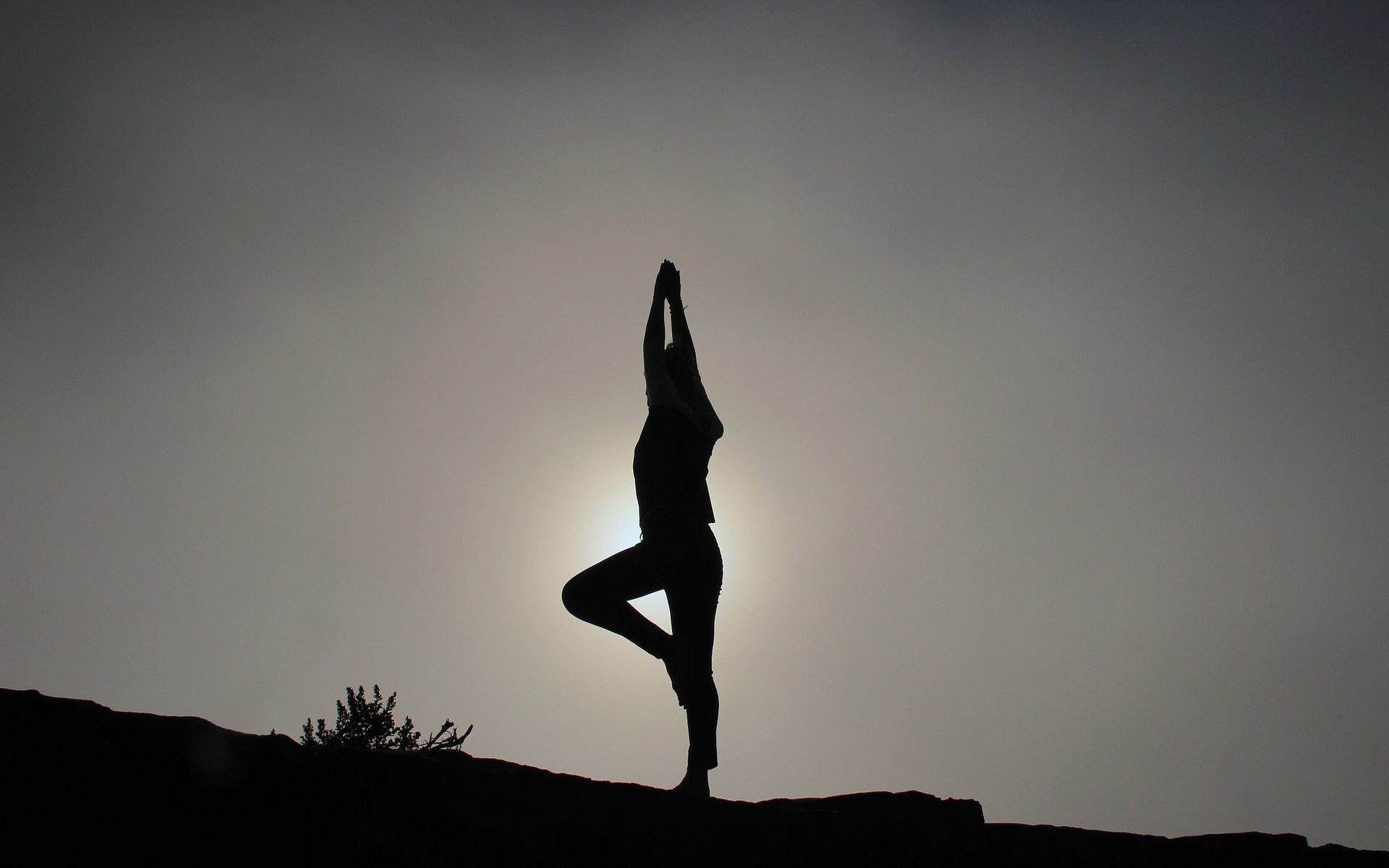 posture