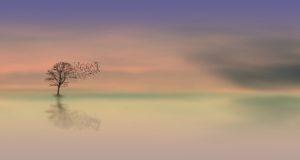simple meditation 2